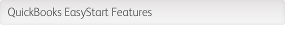 QuickBooks EasyStart Features