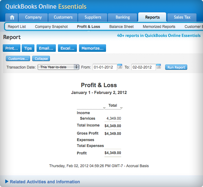 Screenshot - Profit and Loss report